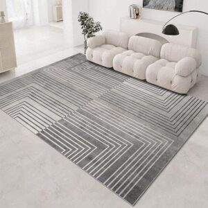 T9- Tapis - salon moderne rayure blanc - grise